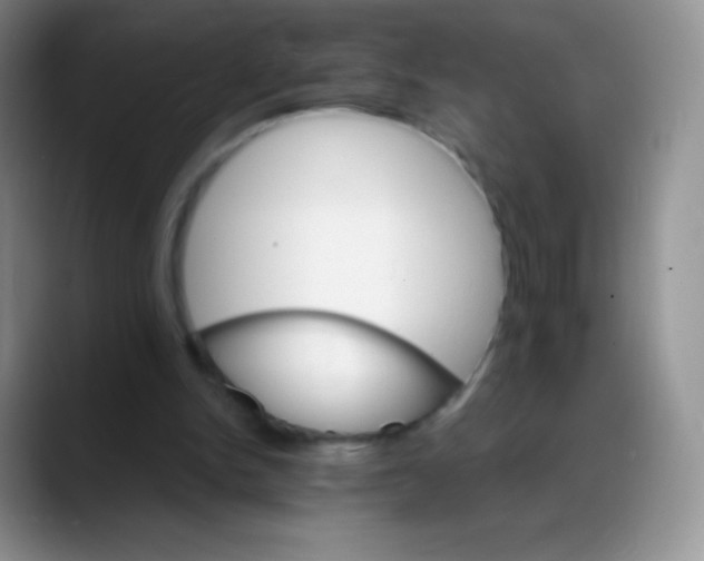 X0000088200150200705292039