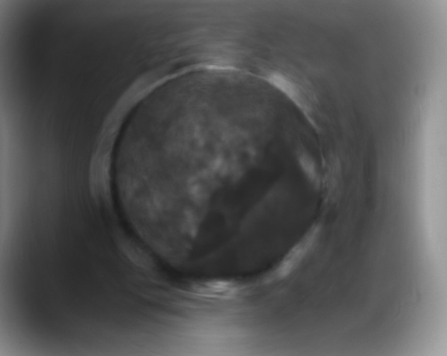 X0000088200151200705292039