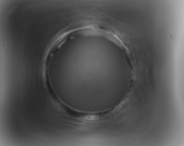 X0000088200152200705292039