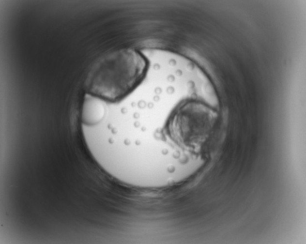 X0000088200153200705292039