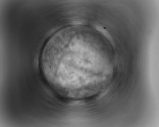 X0000088200155200705292039