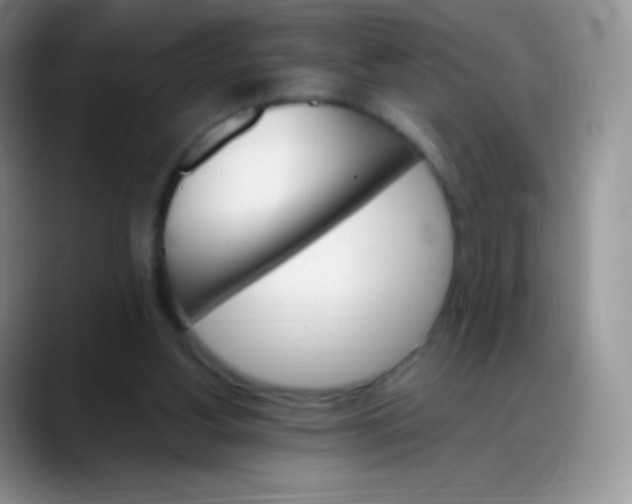 X0000088200156200705292039