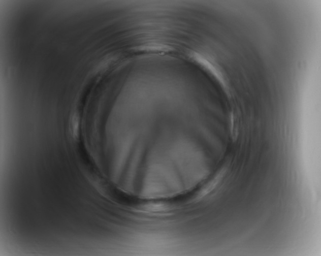 X0000088200157200705292039