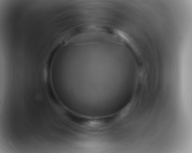 X0000088200158200705292039