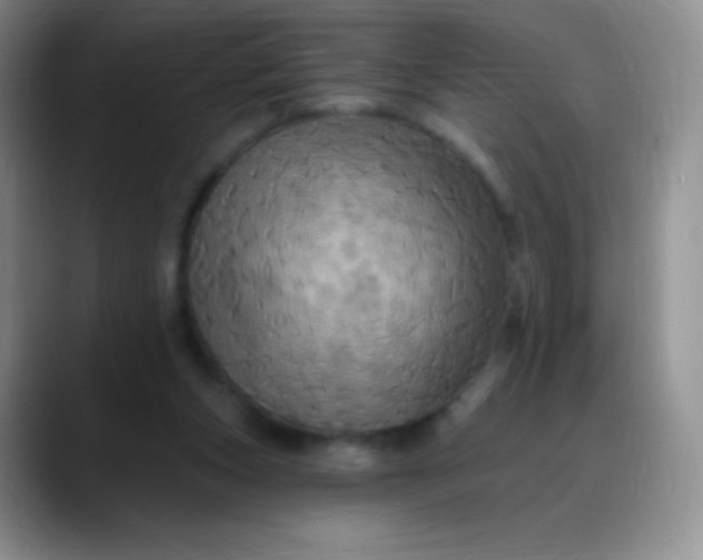 X0000088200159200705292039