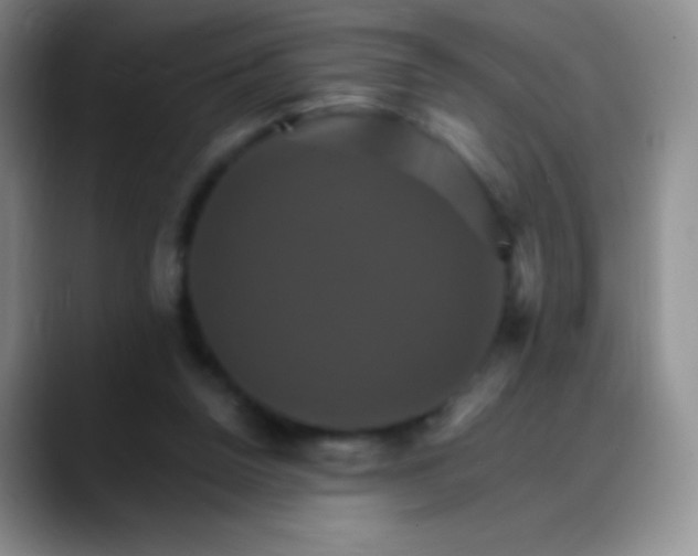 X0000088200160200705292039