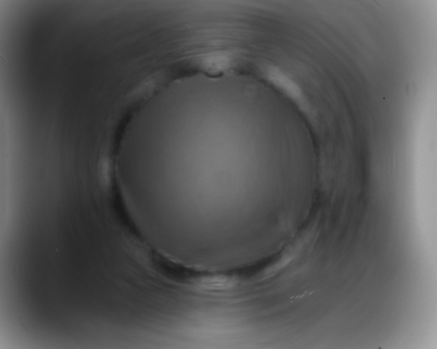 X0000088200161200705292039