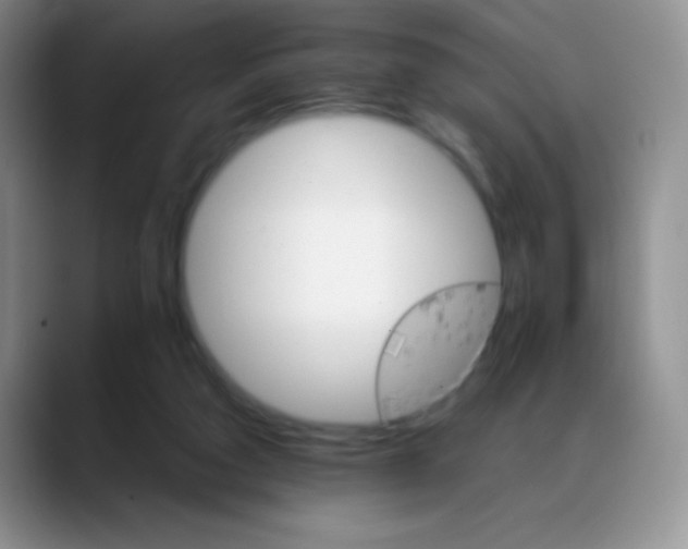 X0000088200162200705292039