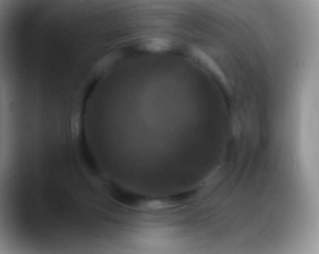 X0000088200163200705292039