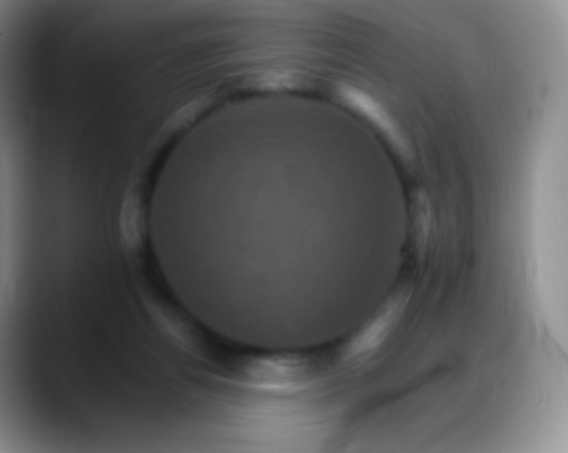 X0000088200164200705292039