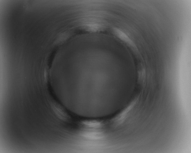 X0000088200165200705292039