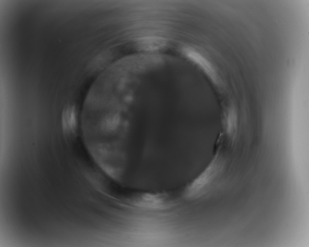 X0000088200166200705292039