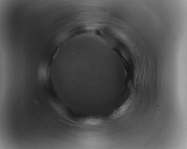 X0000088200168200705292040