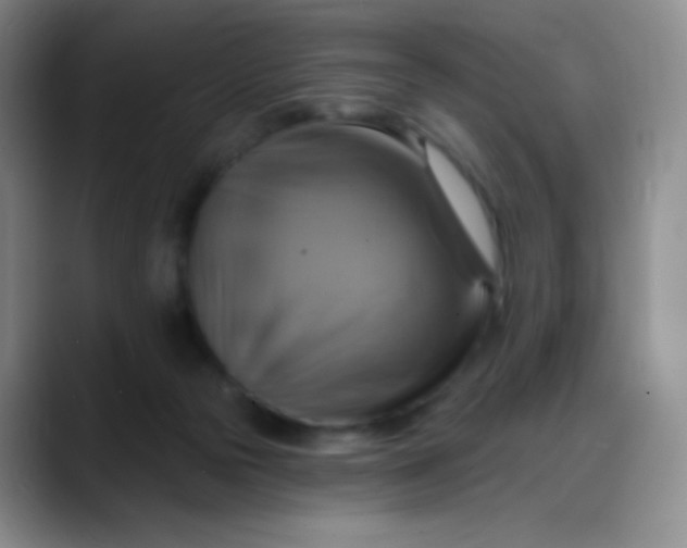 X0000088200169200705292040