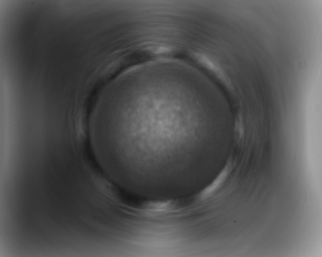 X0000088200170200705292040