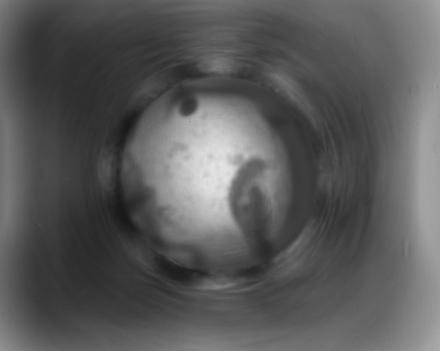 X0000088200171200705292040