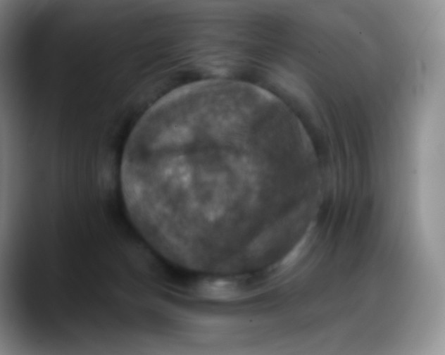 X0000088200174200705292040