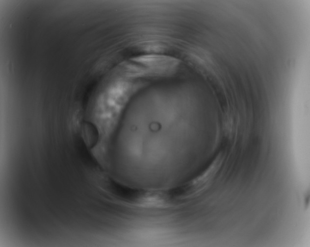 X0000088200175200705292040