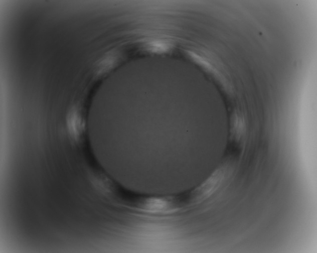 X0000088200176200705292040