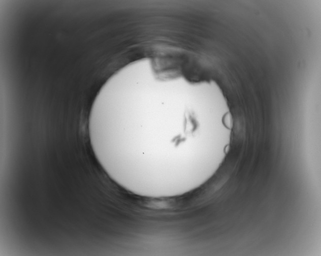 X0000088200177200705292040