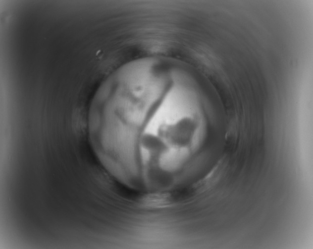 X0000088200179200705292040