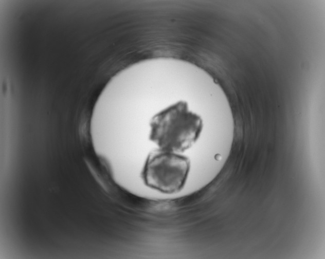 X0000088200185200705292040