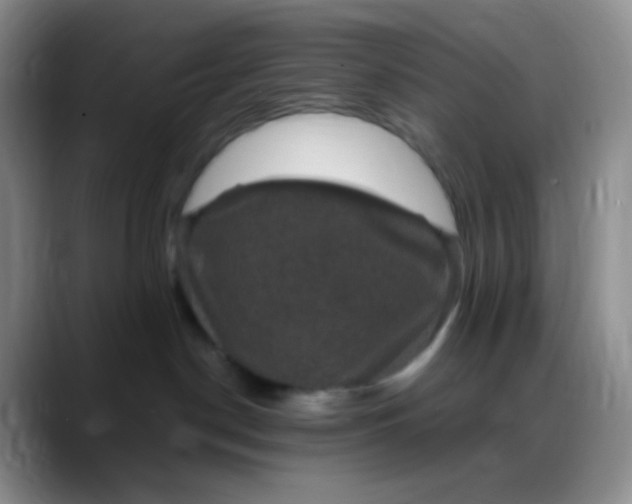 X0000088200190200705292040