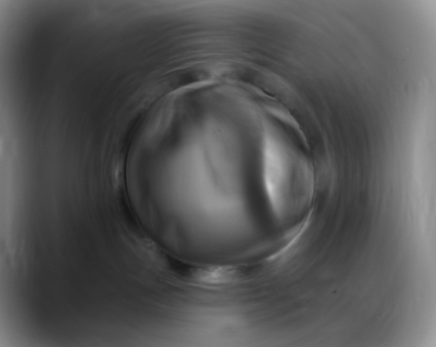 X0000088200191200705292040