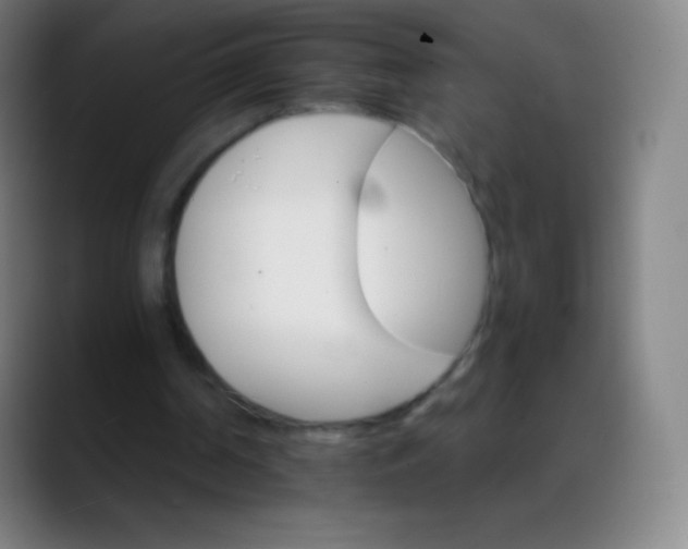 X0000088200194200705292039