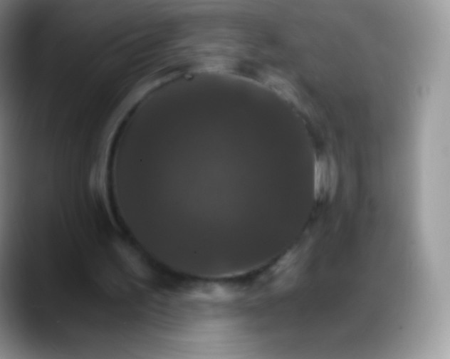 X0000088200195200705292039