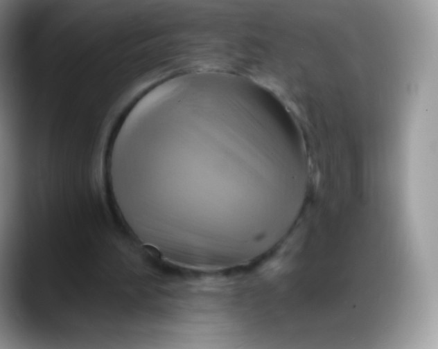 X0000088200196200705292039