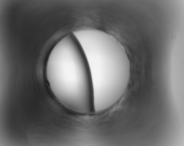 X0000088200197200705292039