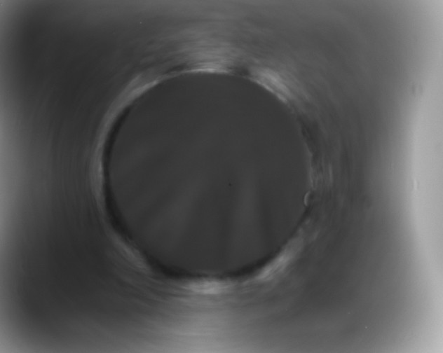 X0000088200198200705292039