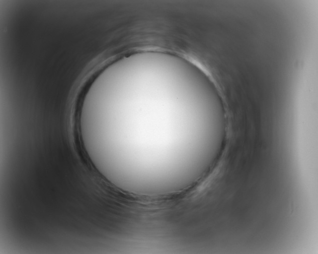 X0000088200199200705292039