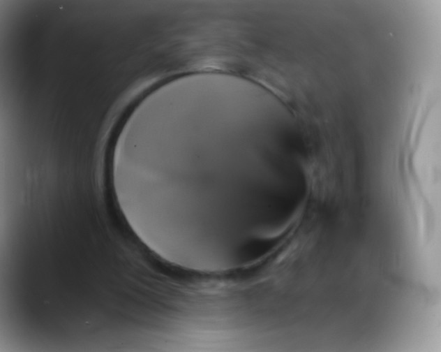 X0000088200200200705292039