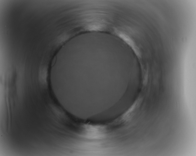 X0000088200201200705292039