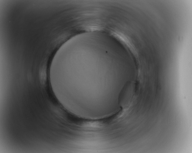 X0000088200202200705292039