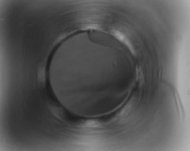 X0000088200204200705292039