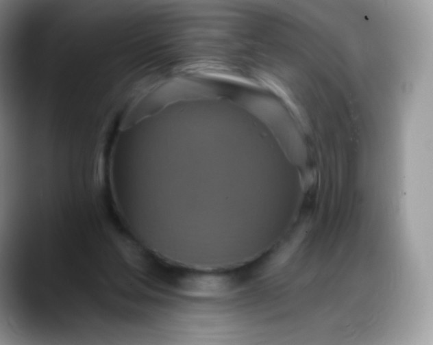 X0000088200205200705292039