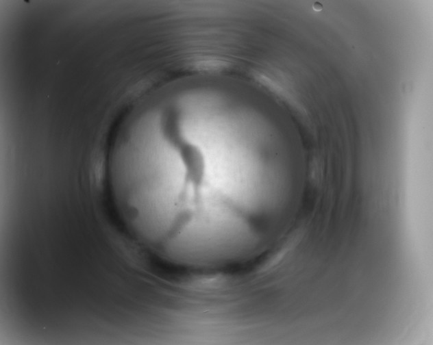 X0000088200206200705292039