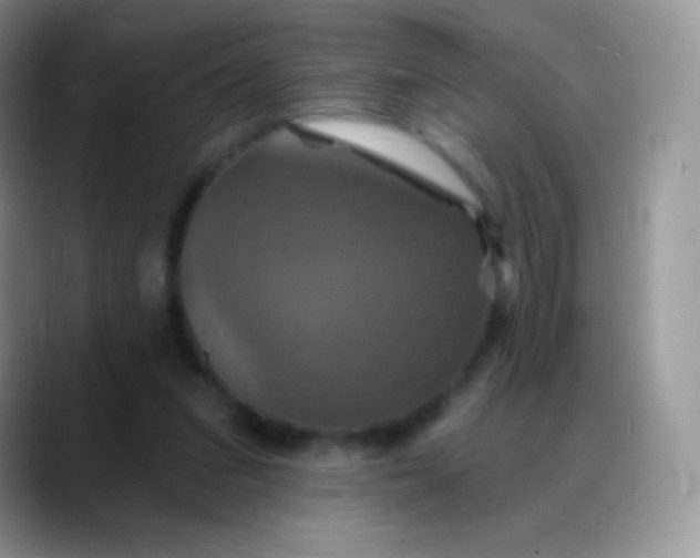 X0000088200207200705292039