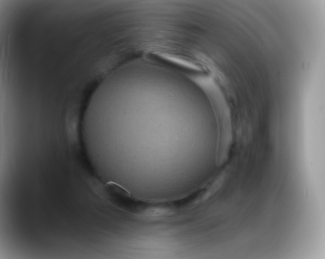 X0000088200209200705292039