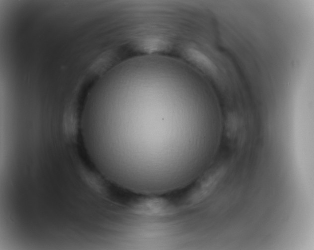 X0000088200210200705292039