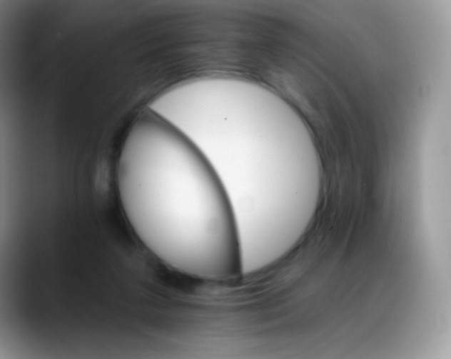 X0000088200211200705292039