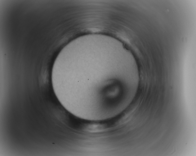 X0000088200212200705292039