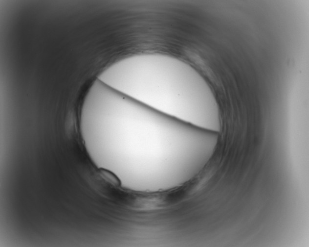 X0000088200213200705292039