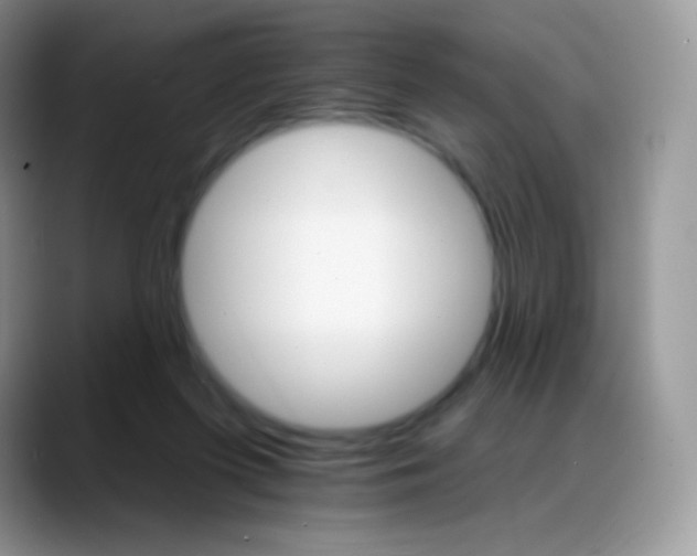 X0000088200215200705292039