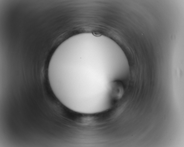 X0000088200216200705292039