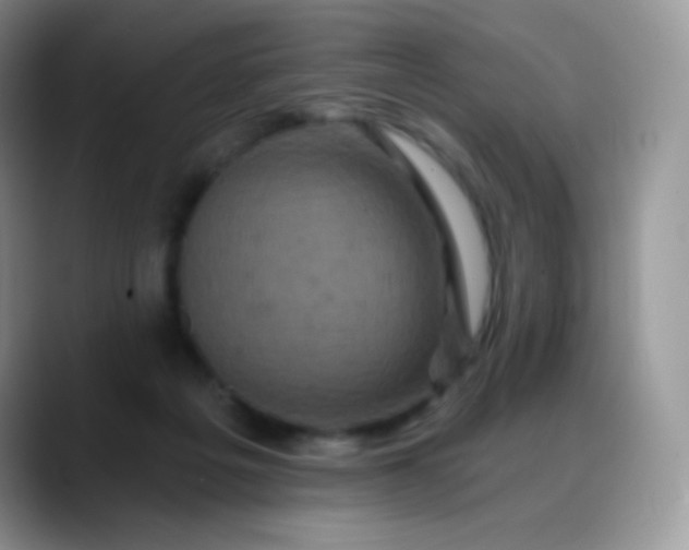 X0000088200217200705292039