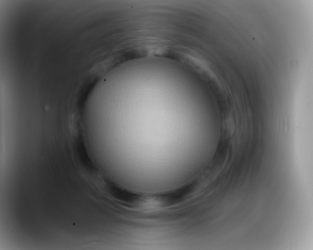 X0000088200218200705292039